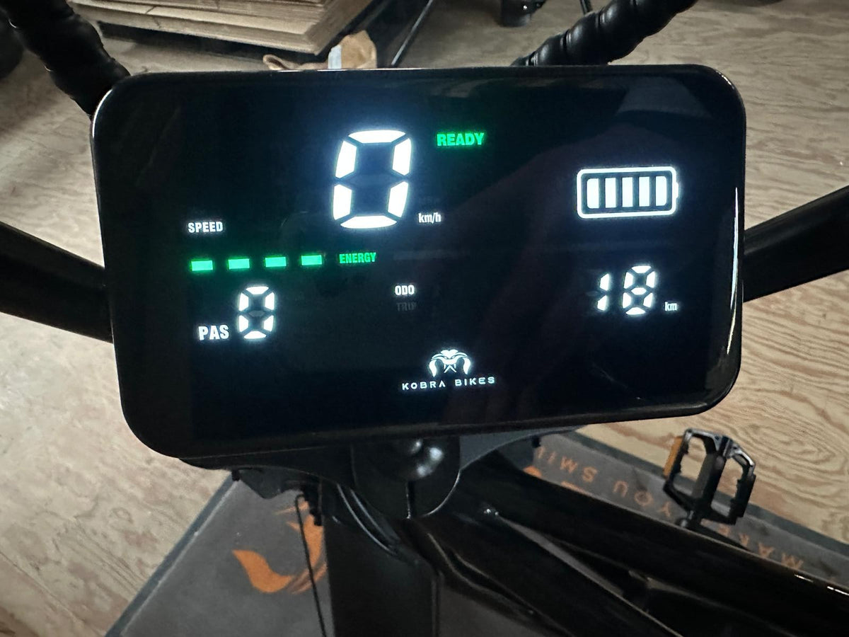 KOBRA V1.2 Fatbike Black – demo #07 – km-stand